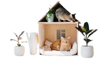 Household Items